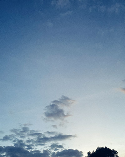 Skies, trees and clouds series