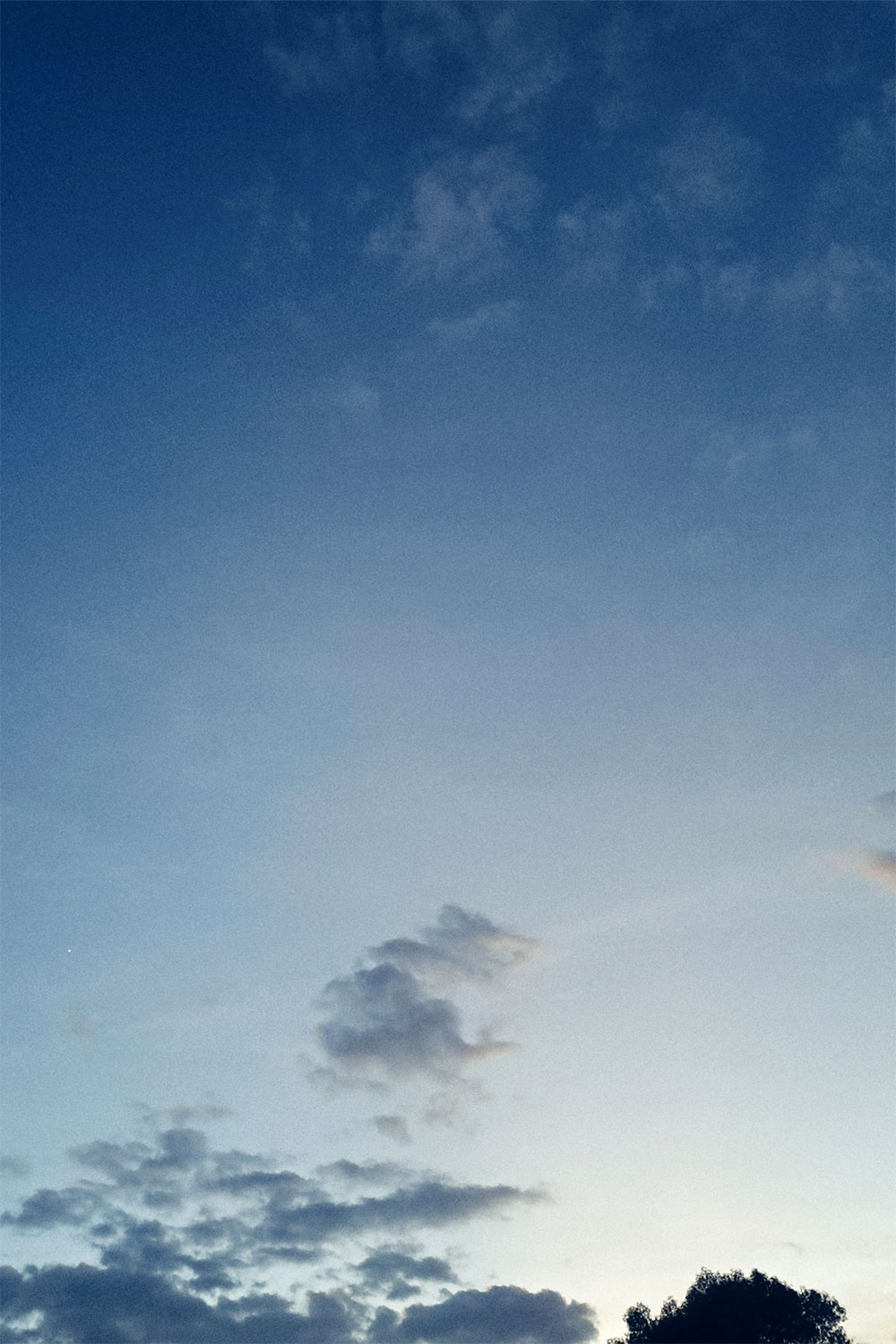 Skies, trees and clouds series