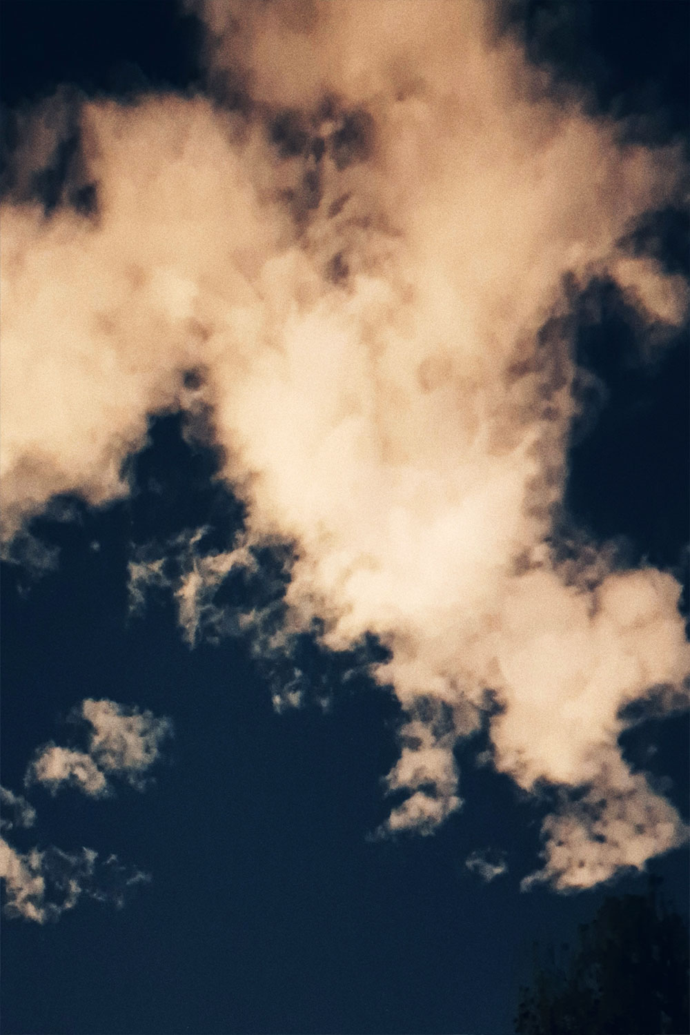 Skies, trees and clouds series