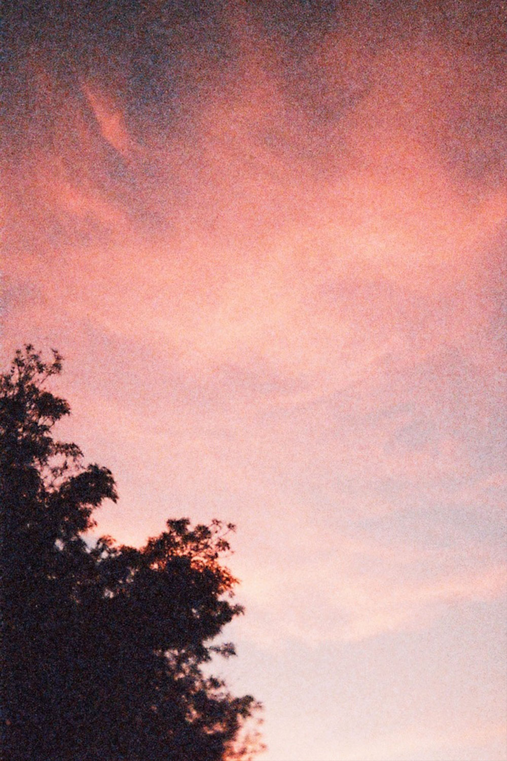 Skies, trees and clouds series