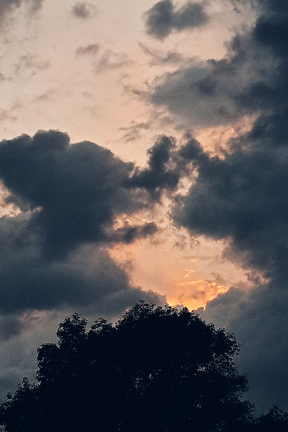 Skies, trees and clouds series