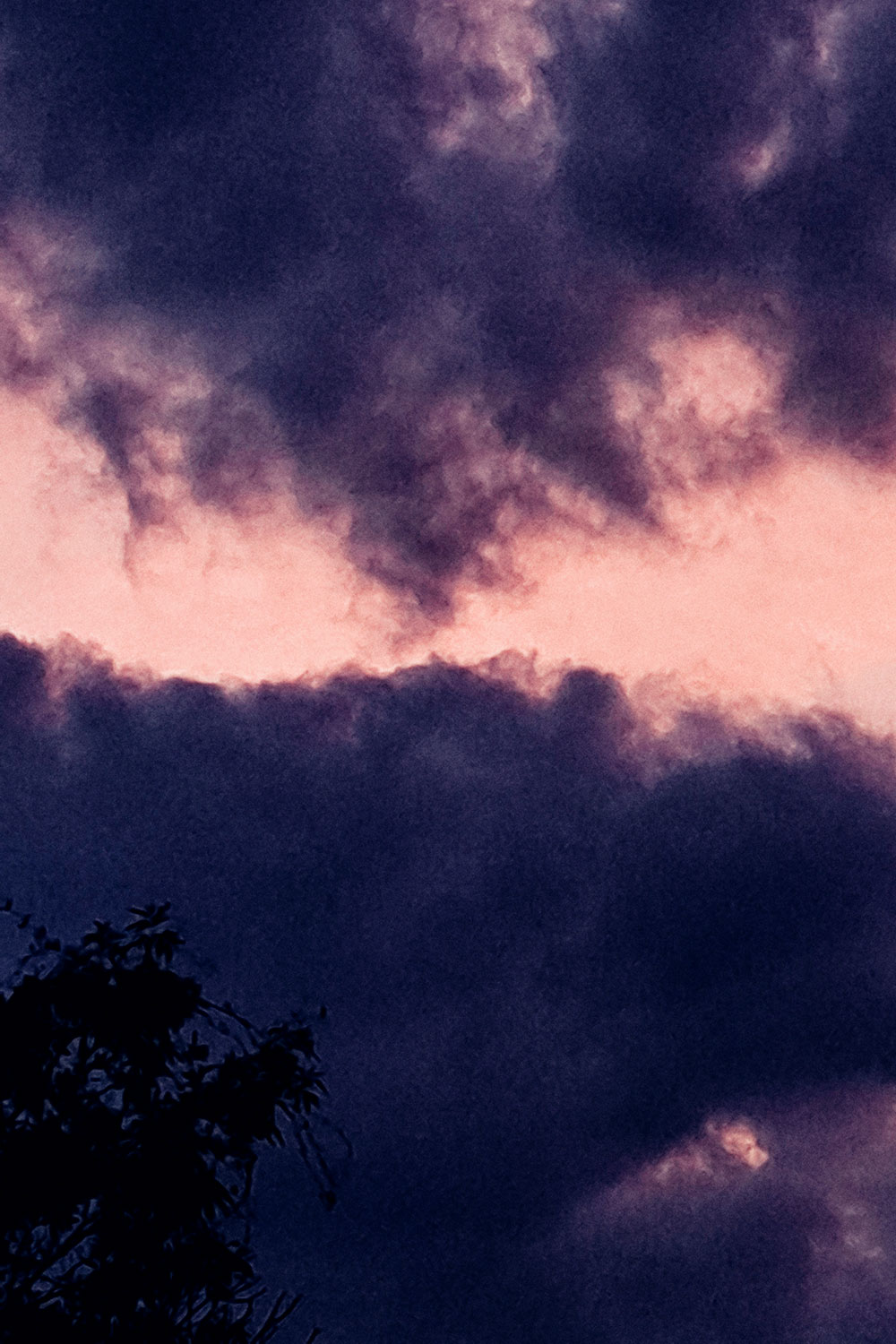 Skies, trees and clouds series