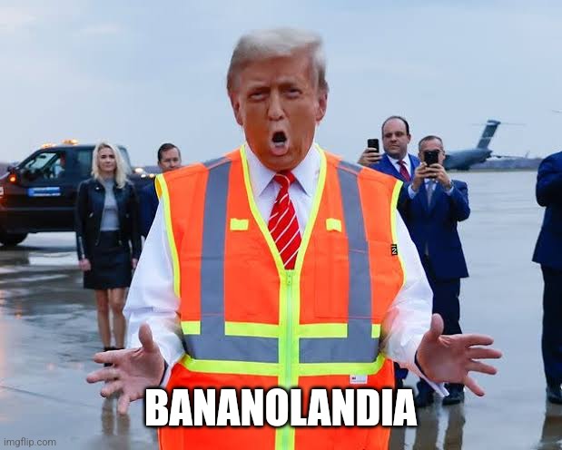 Trump MEME