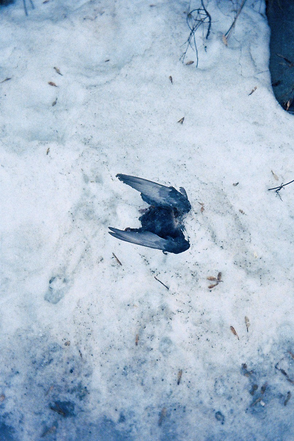 Weekly (almost), archive