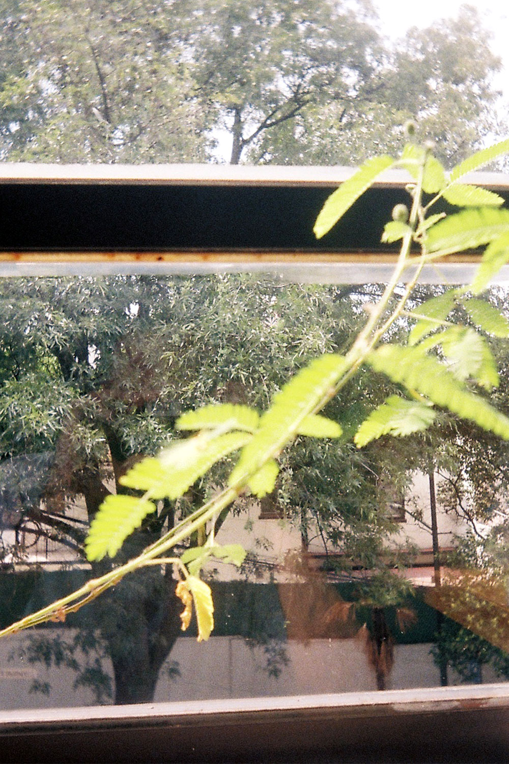 Weekly (almost), archive