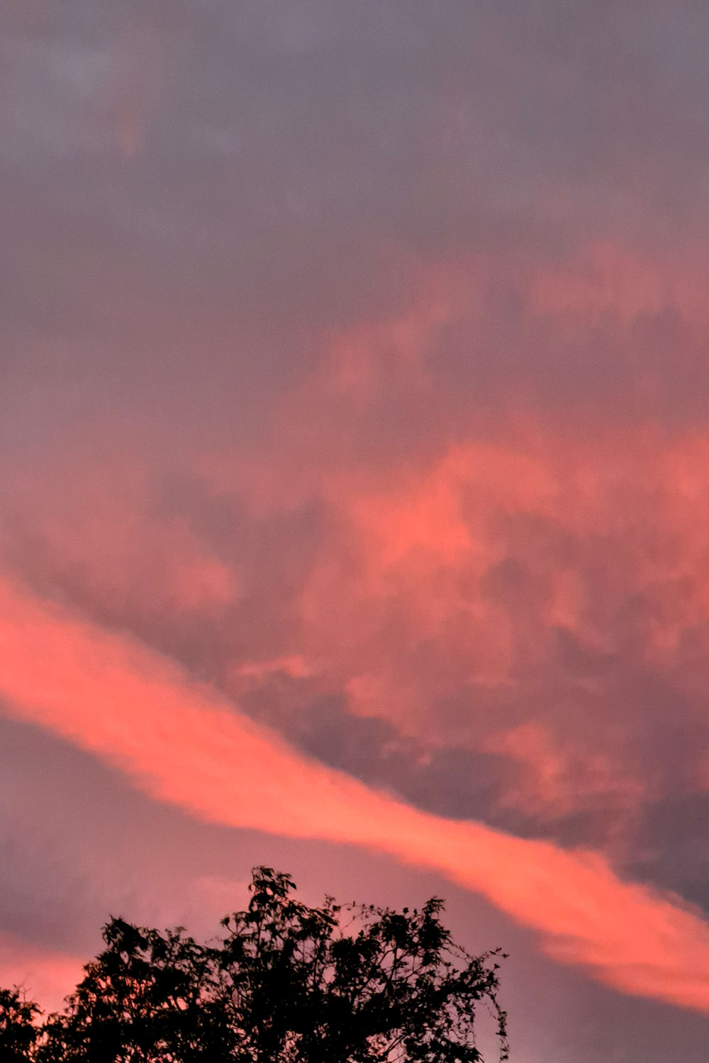 Weekly (almost), archive