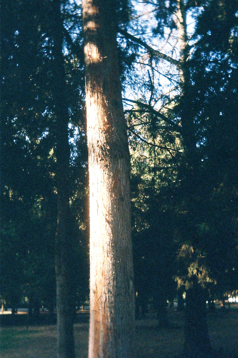 Weekly (almost), archive