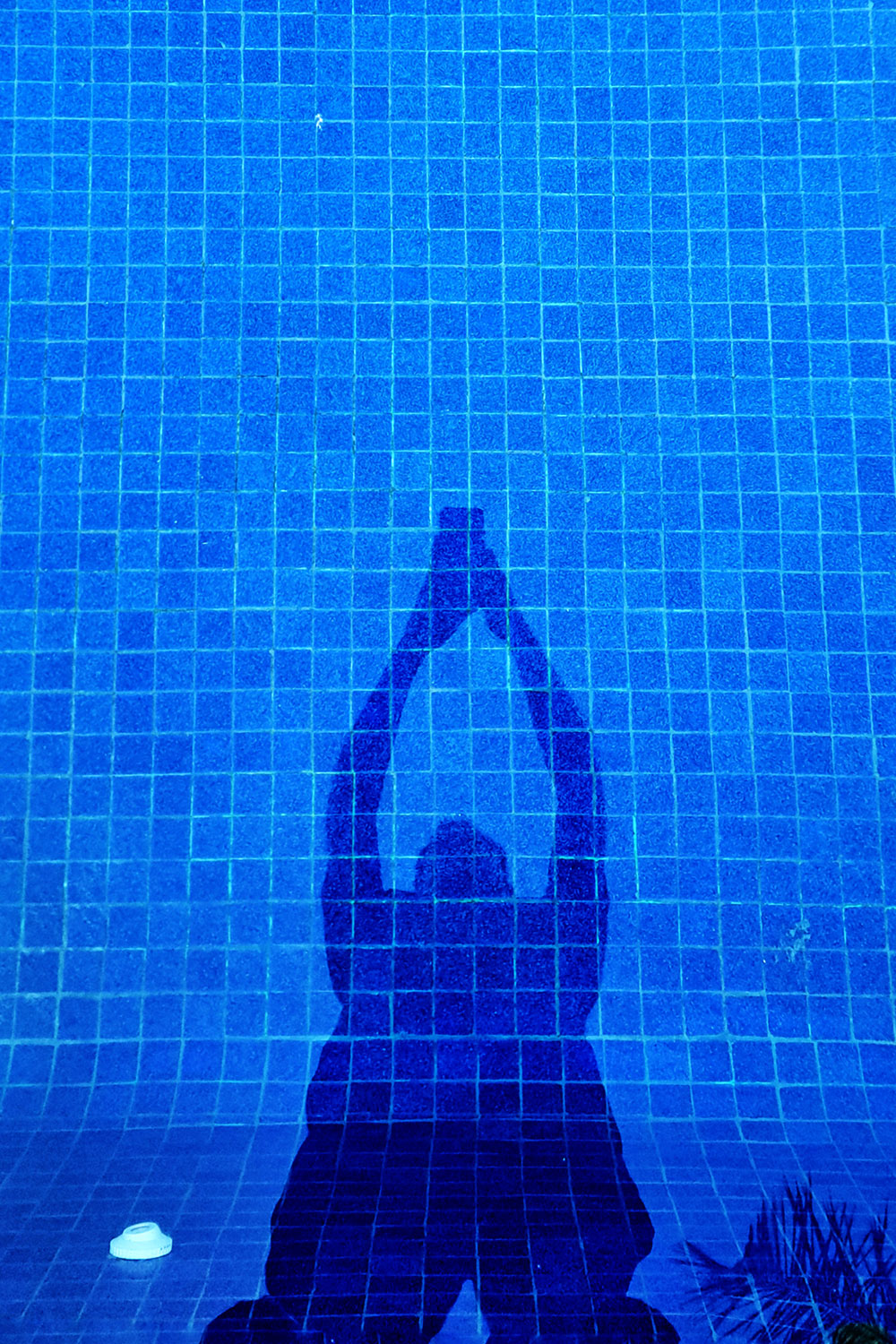 Silhouette