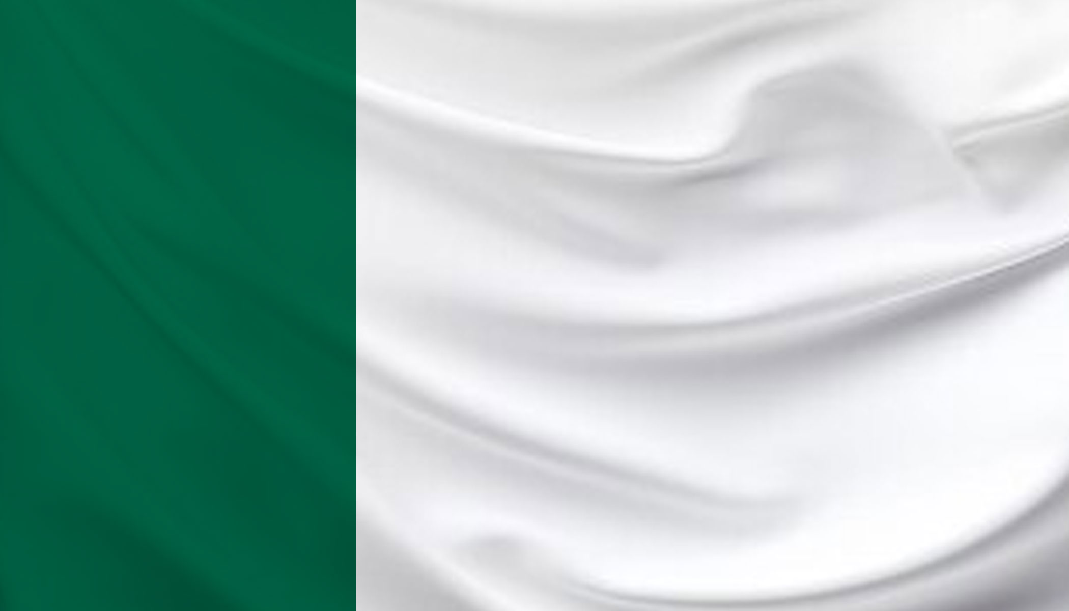 New Mexican flag