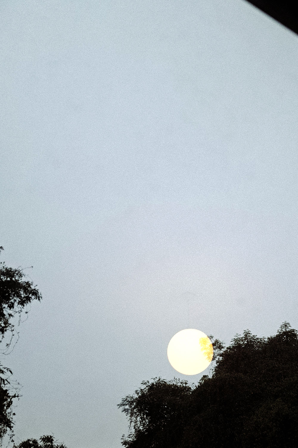 Lamp reflected (Banquet)