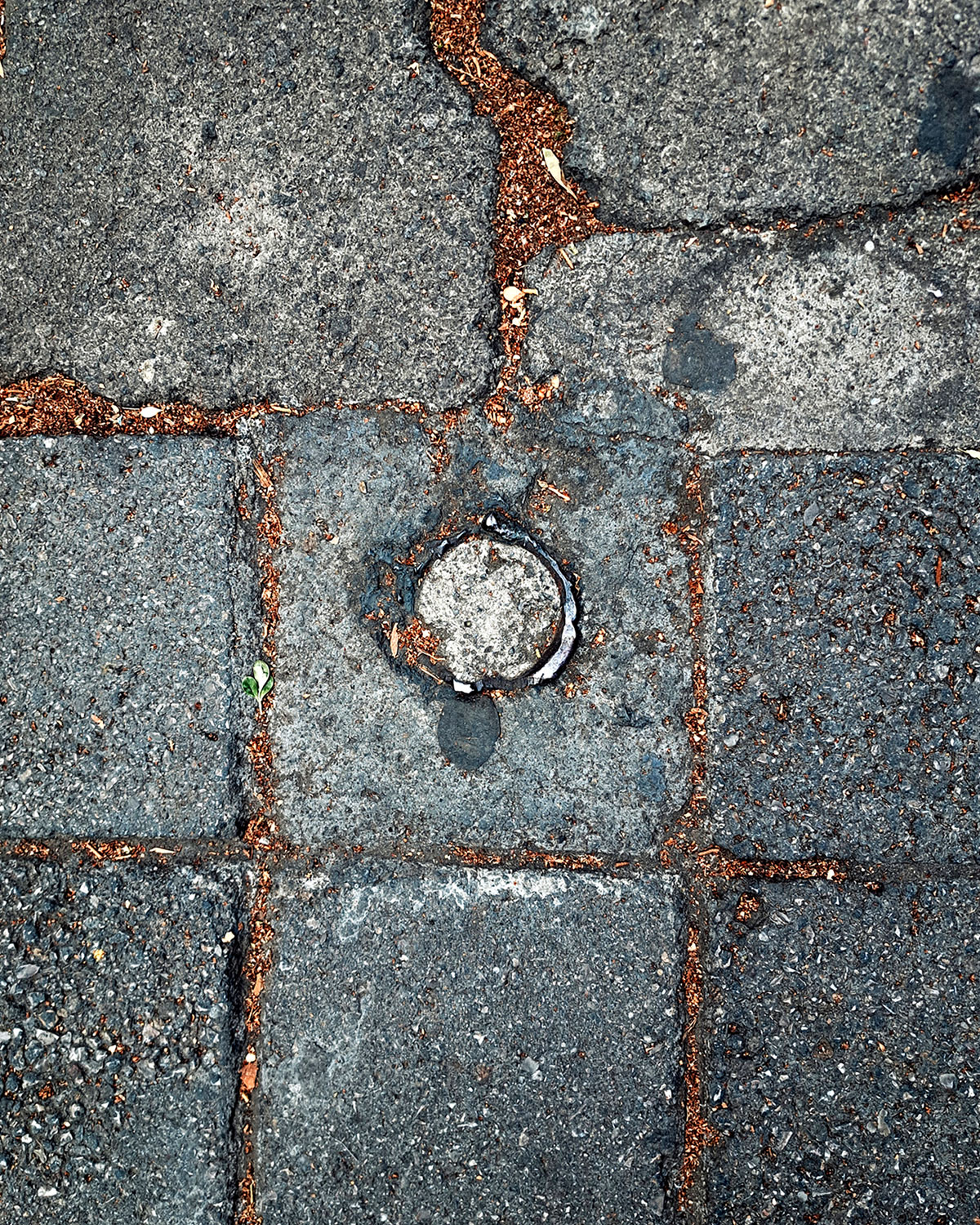 Cut pole, accidental pot