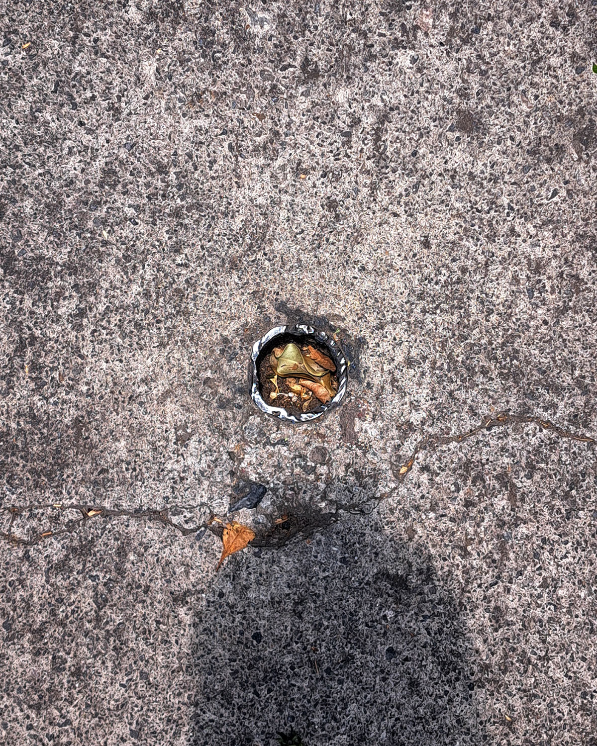 Cut pole, accidental pot