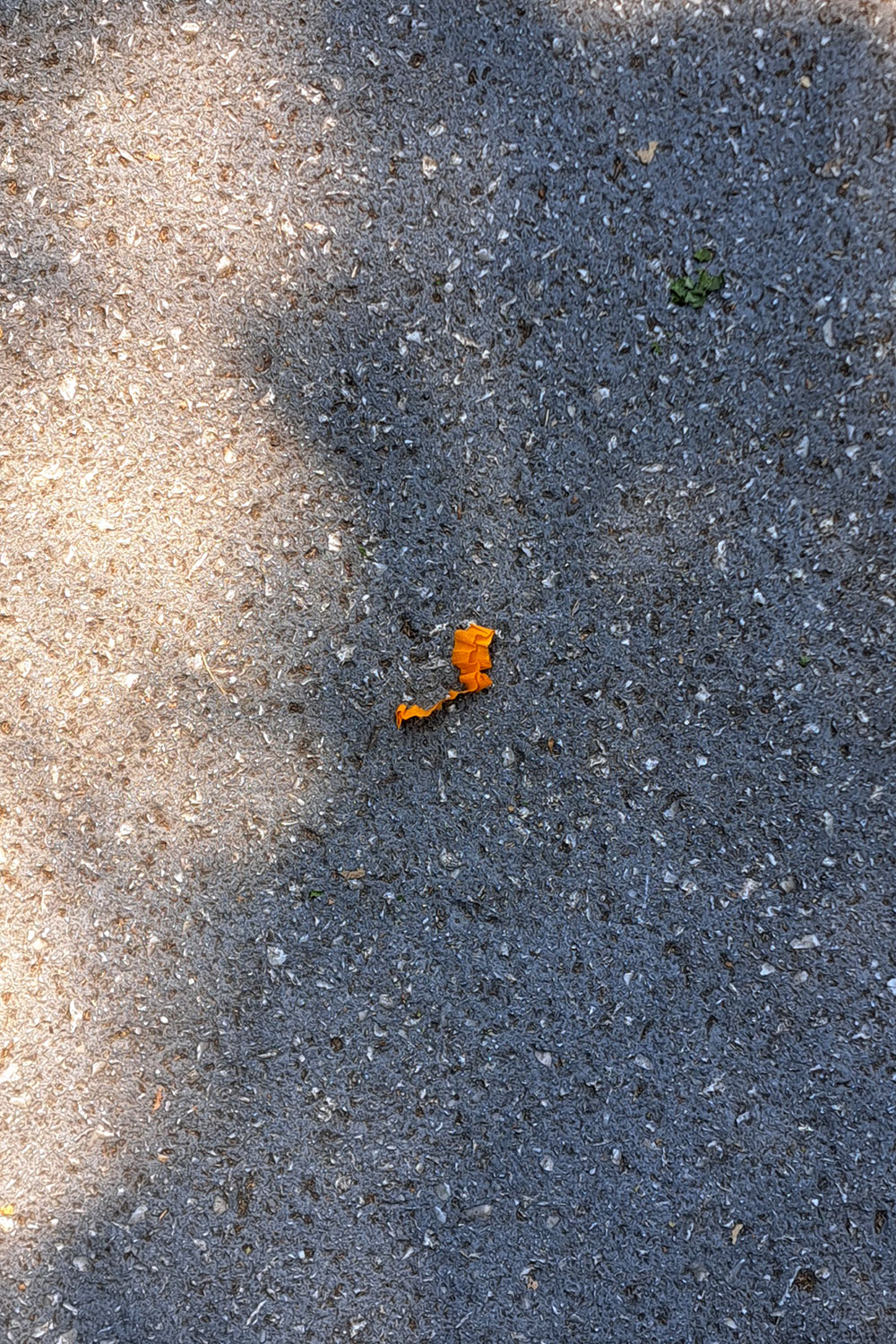 Flower, litter