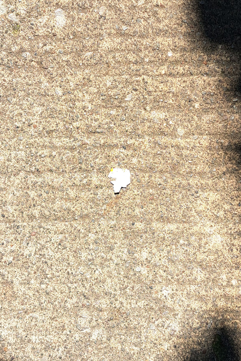Flower, litter