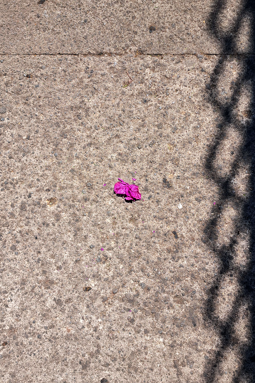 Flower, litter