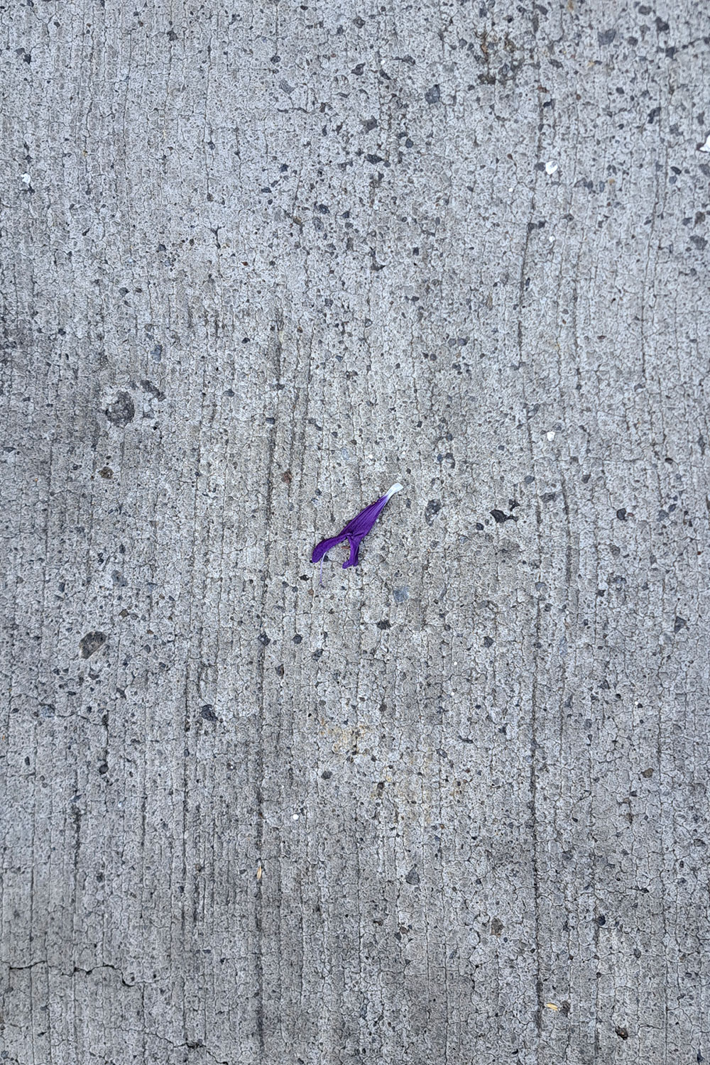 Flower, litter