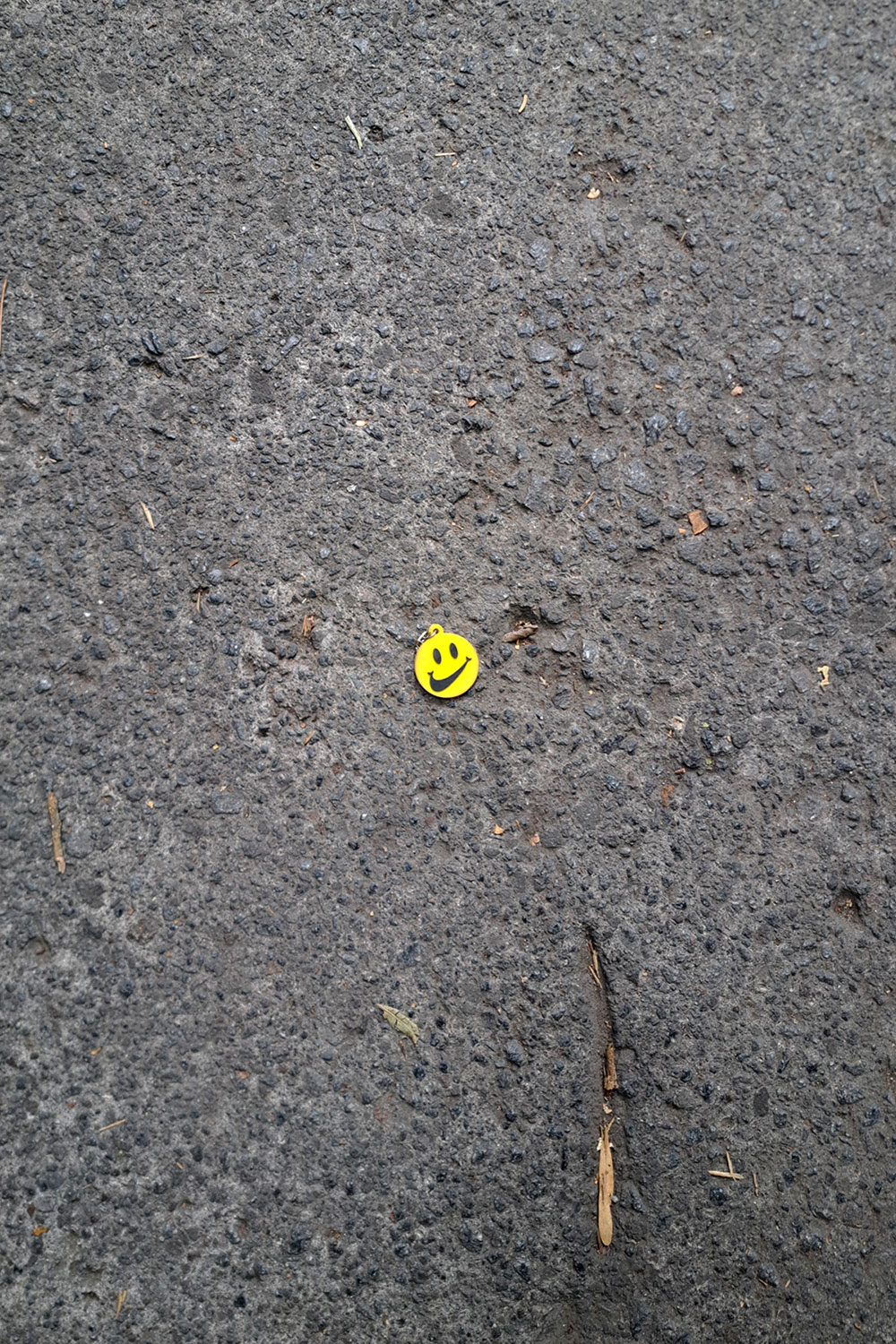 Flower, litter