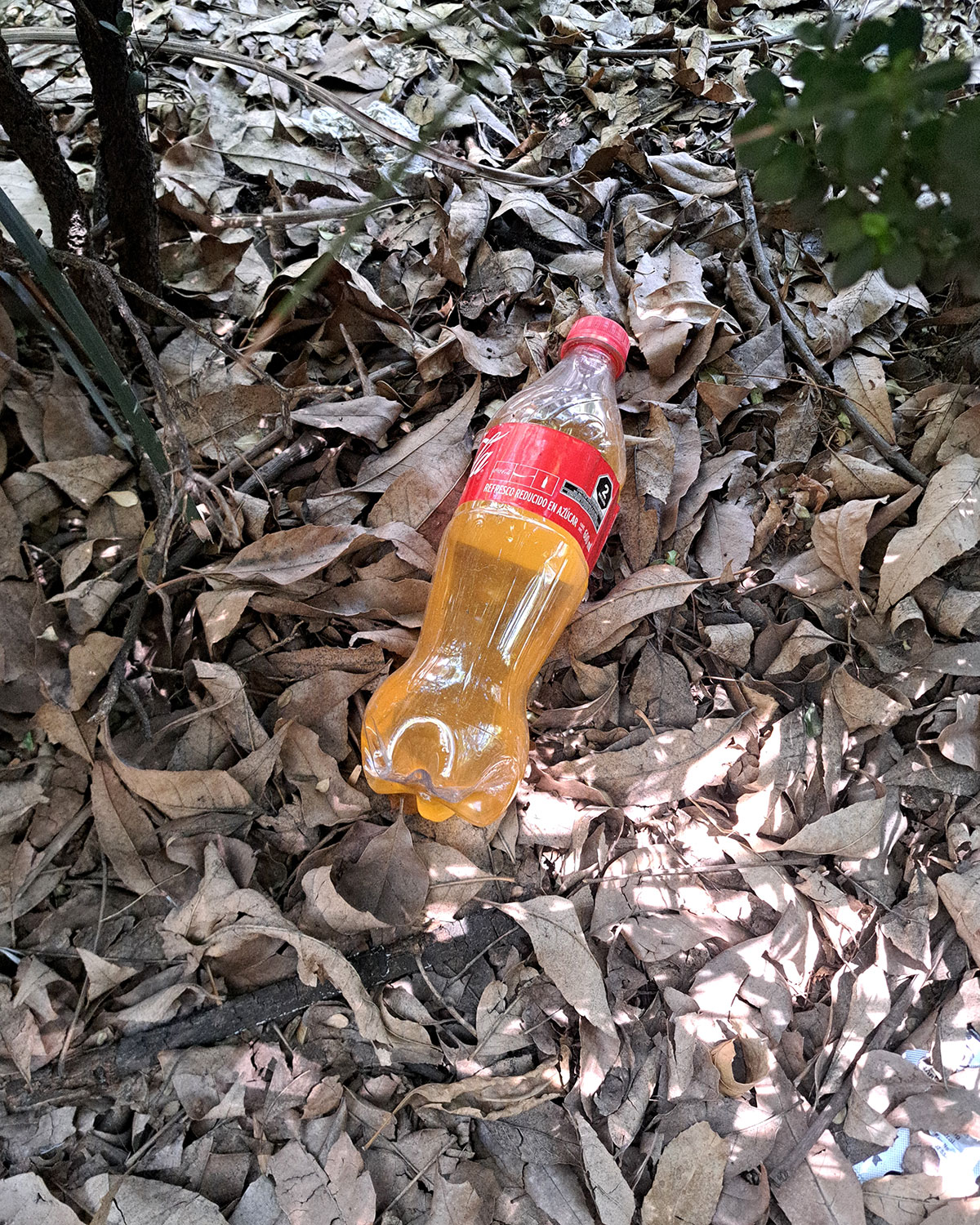 Pee bottles (Ananas)