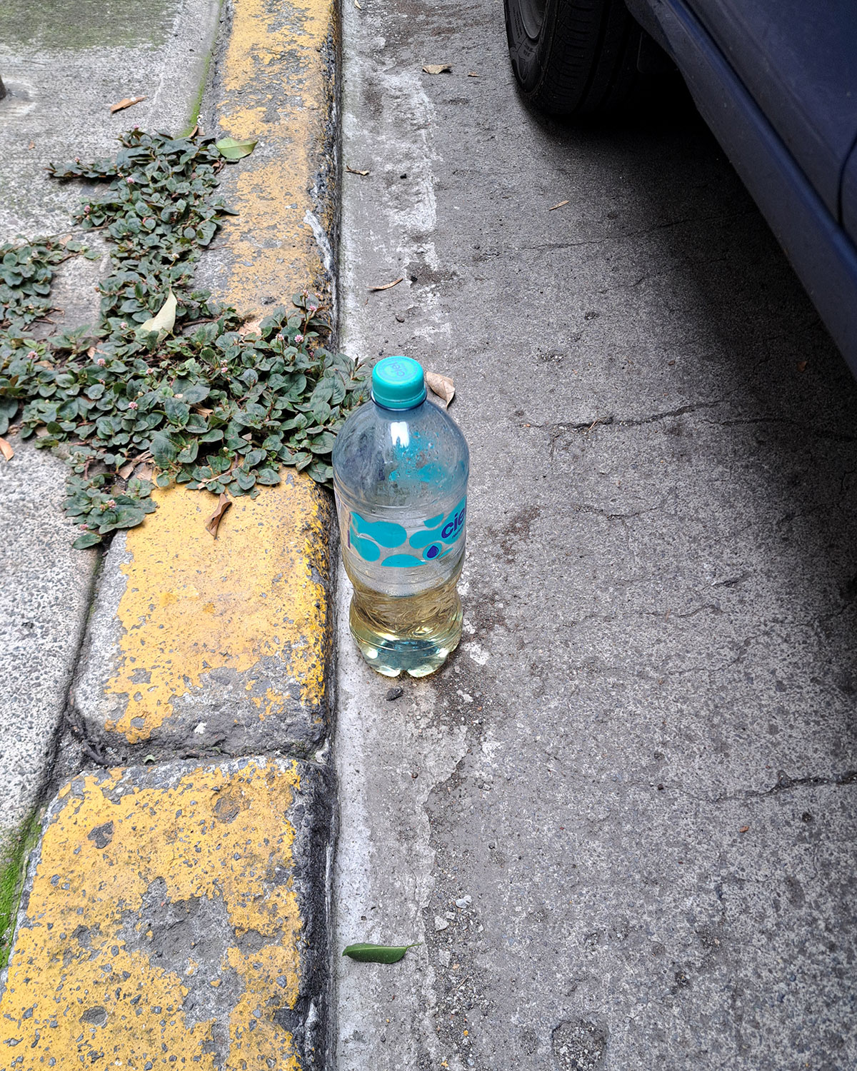 Pee bottles (Ananas)