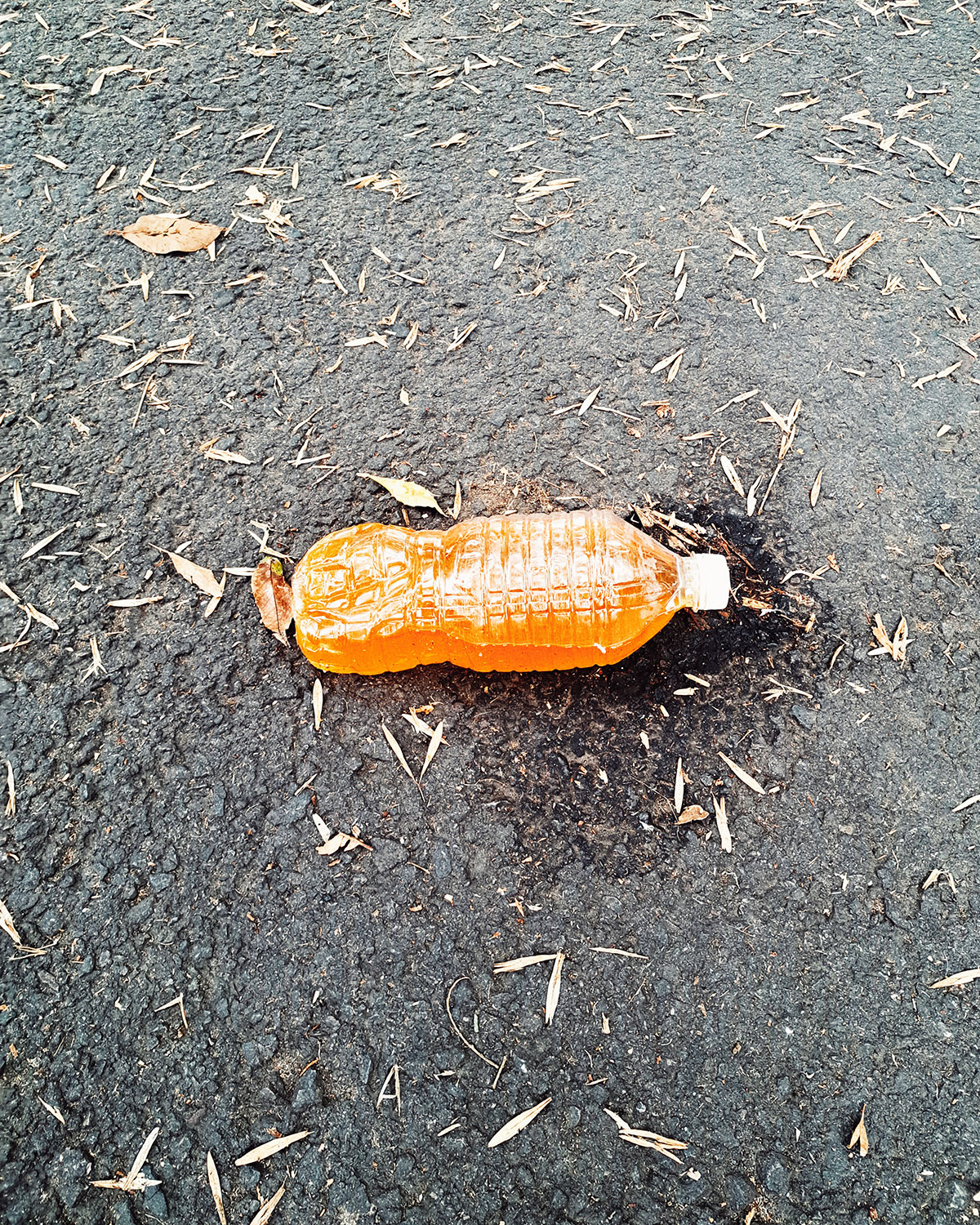 Pee bottles (Ananas)