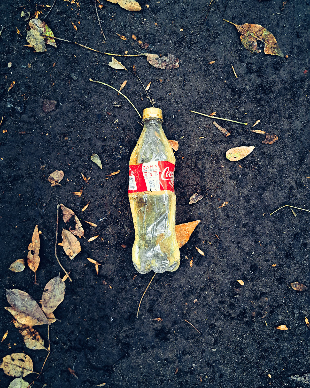 Pee bottles (Ananas)