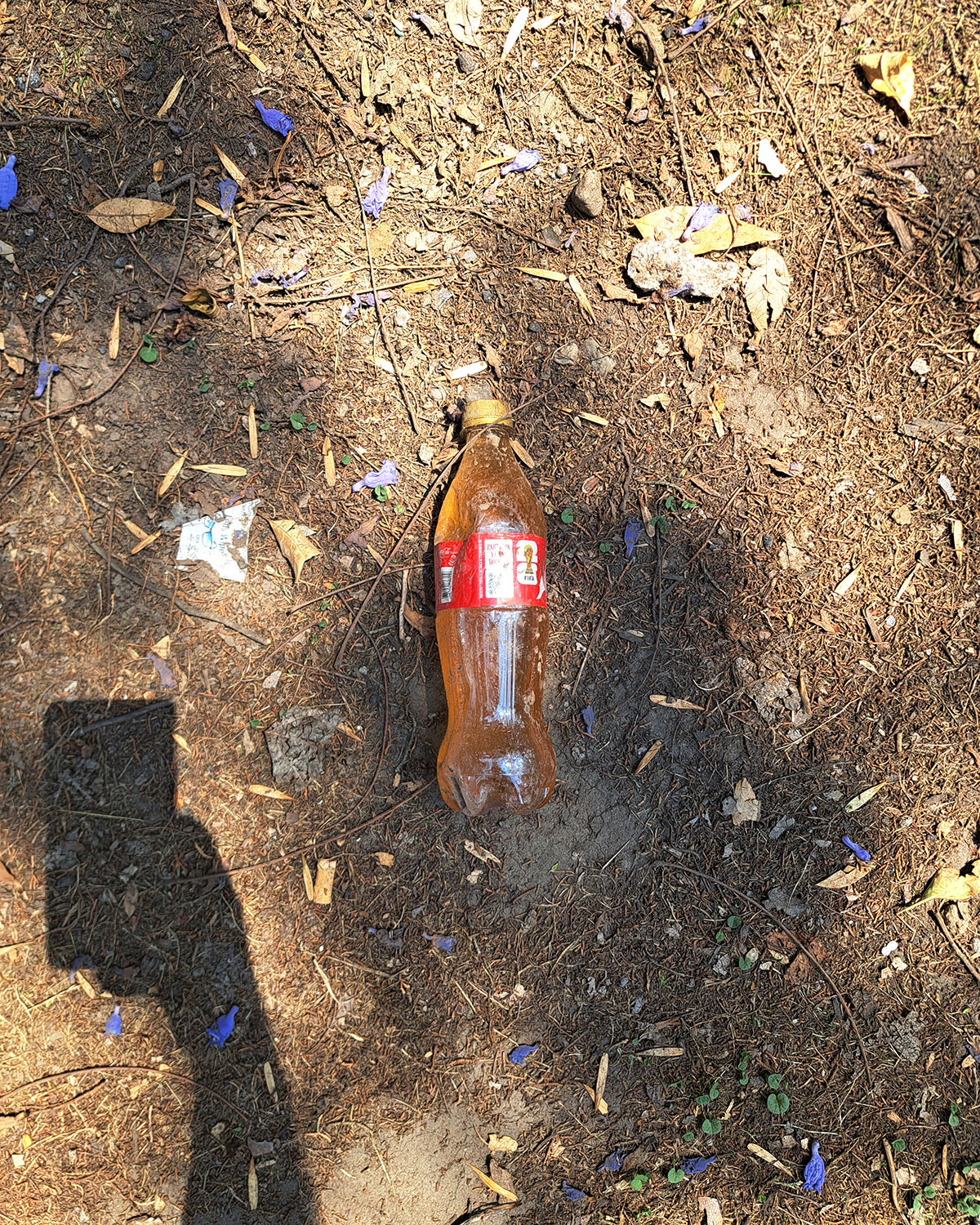 Pee bottles (Ananas)