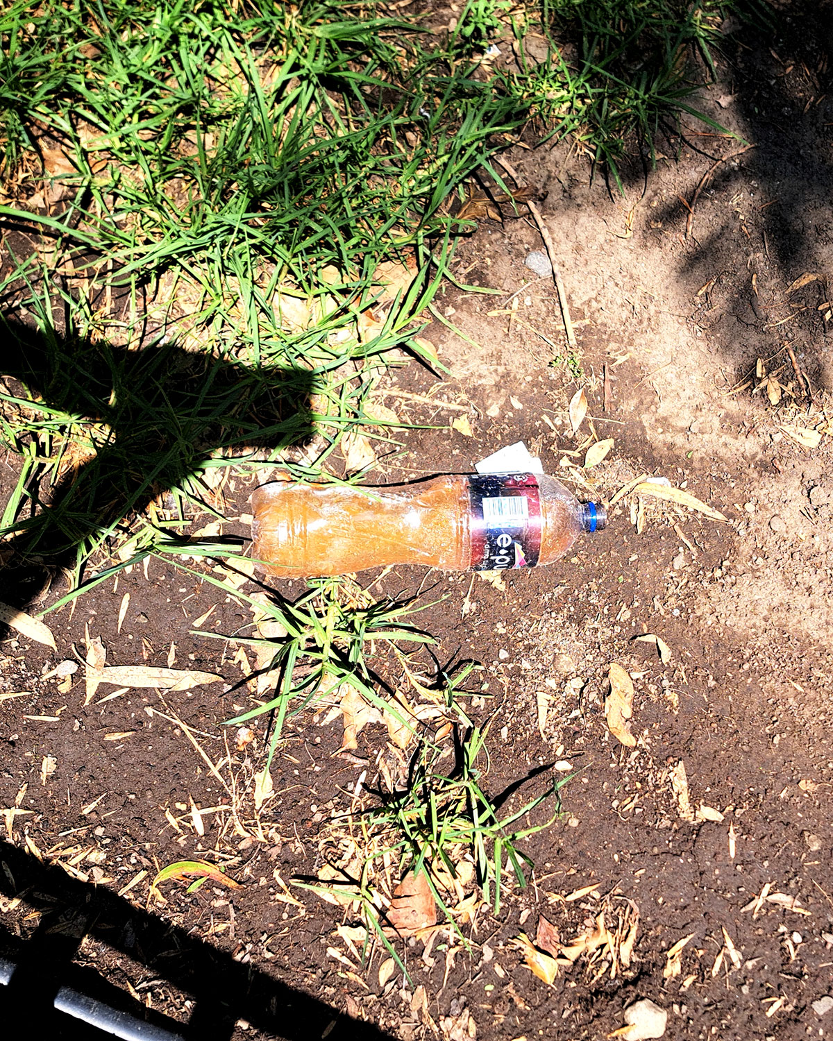 Pee bottles (Ananas)