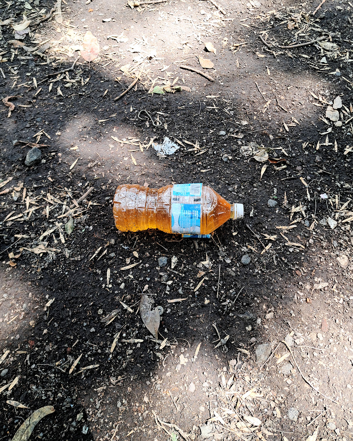 Pee bottles (Ananas)