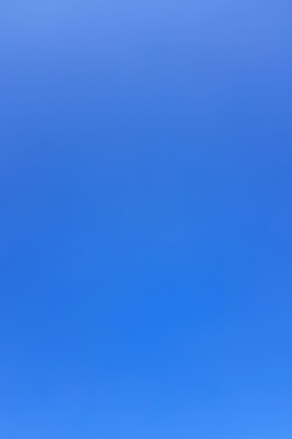 Blue skies