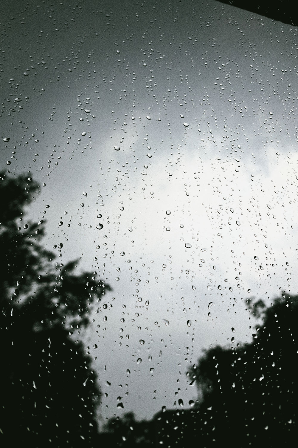 Raindrops