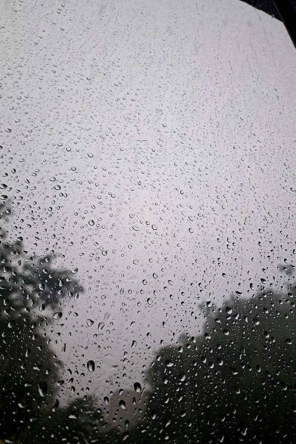 Raindrops