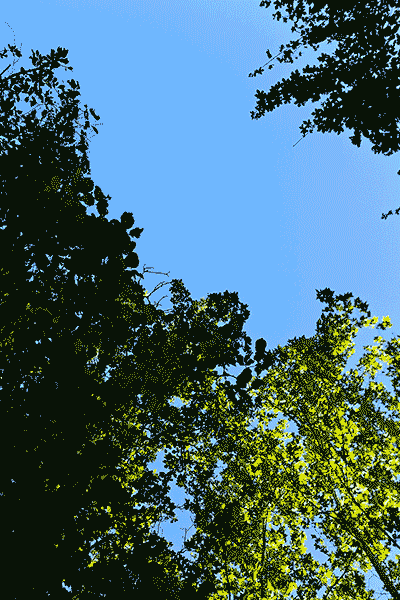 Wind (Eight times), animated