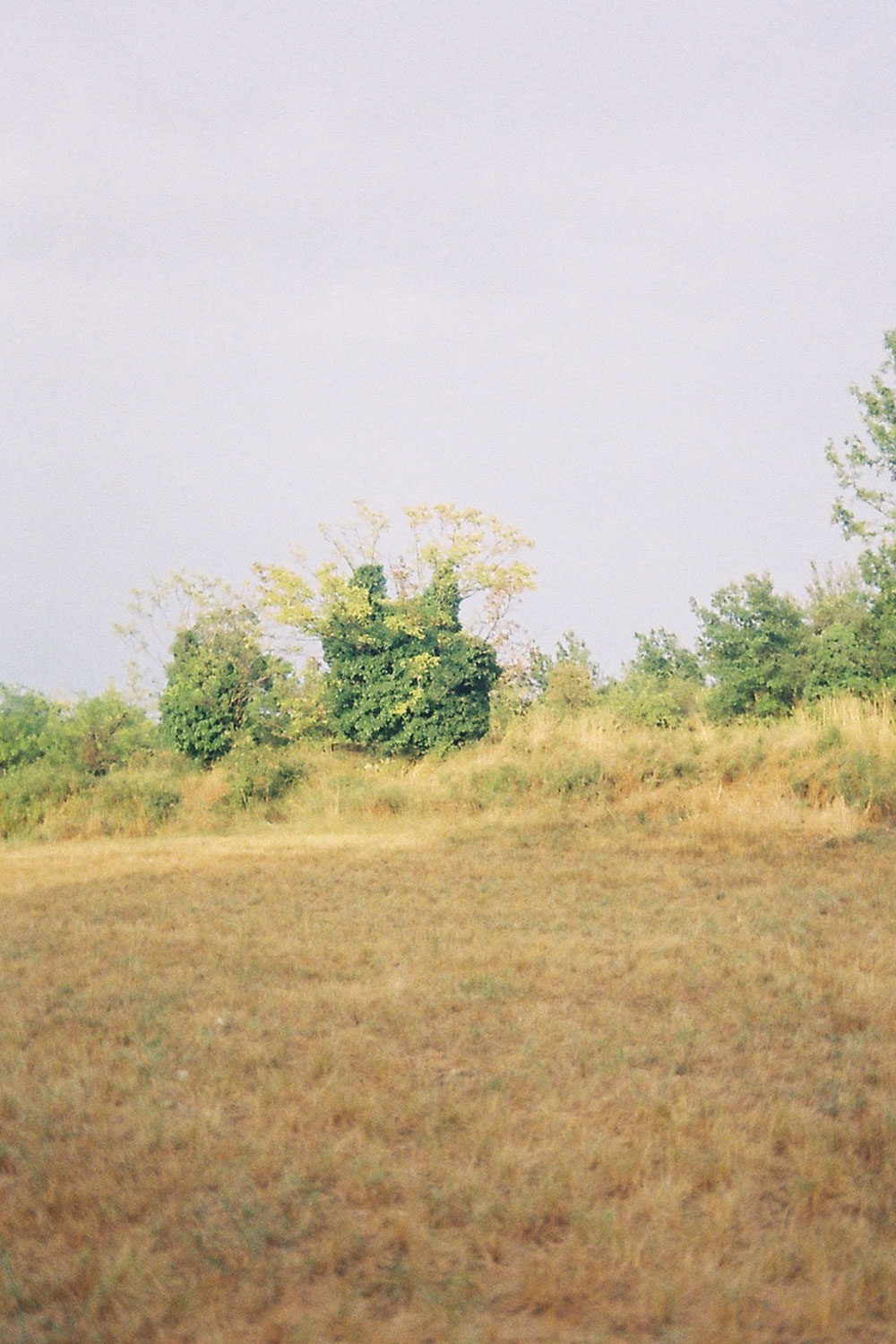 Mauragne