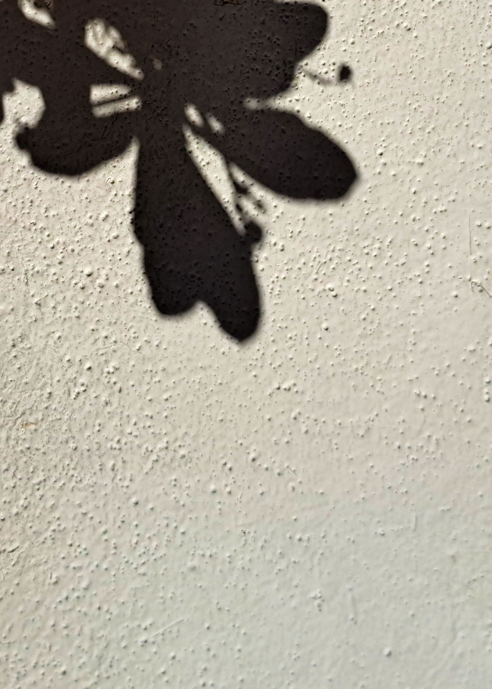 Flowerthings